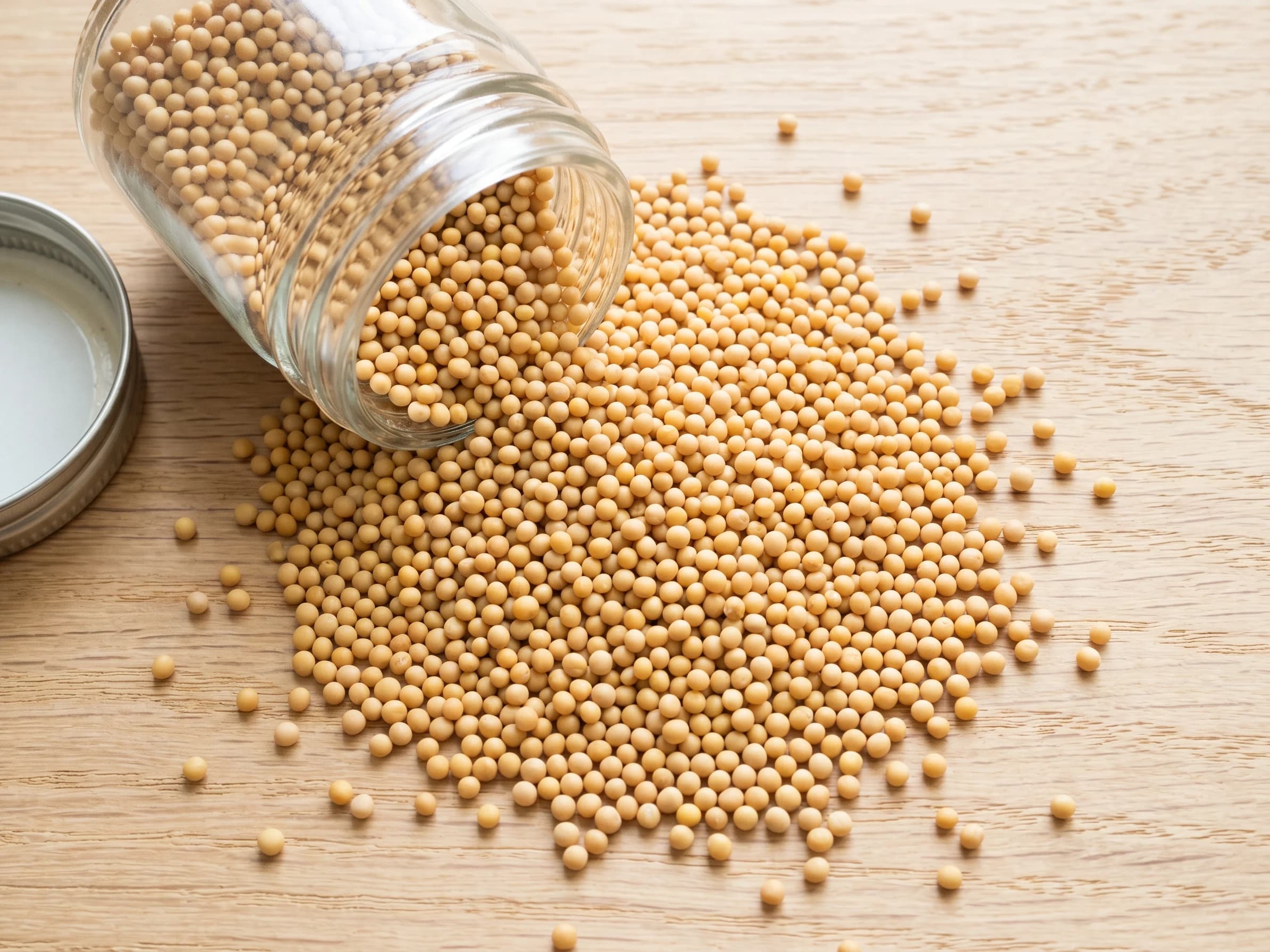 Yellow Mustard