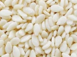 OIL SEEDS